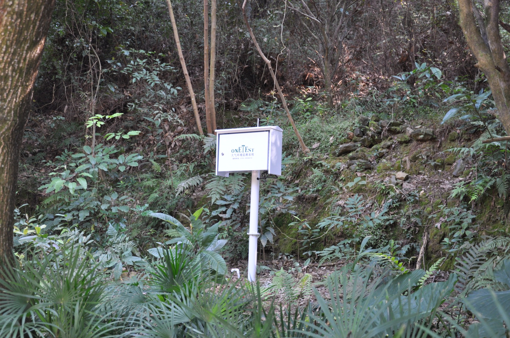 Installation of negative ion monitoring system in scenic area